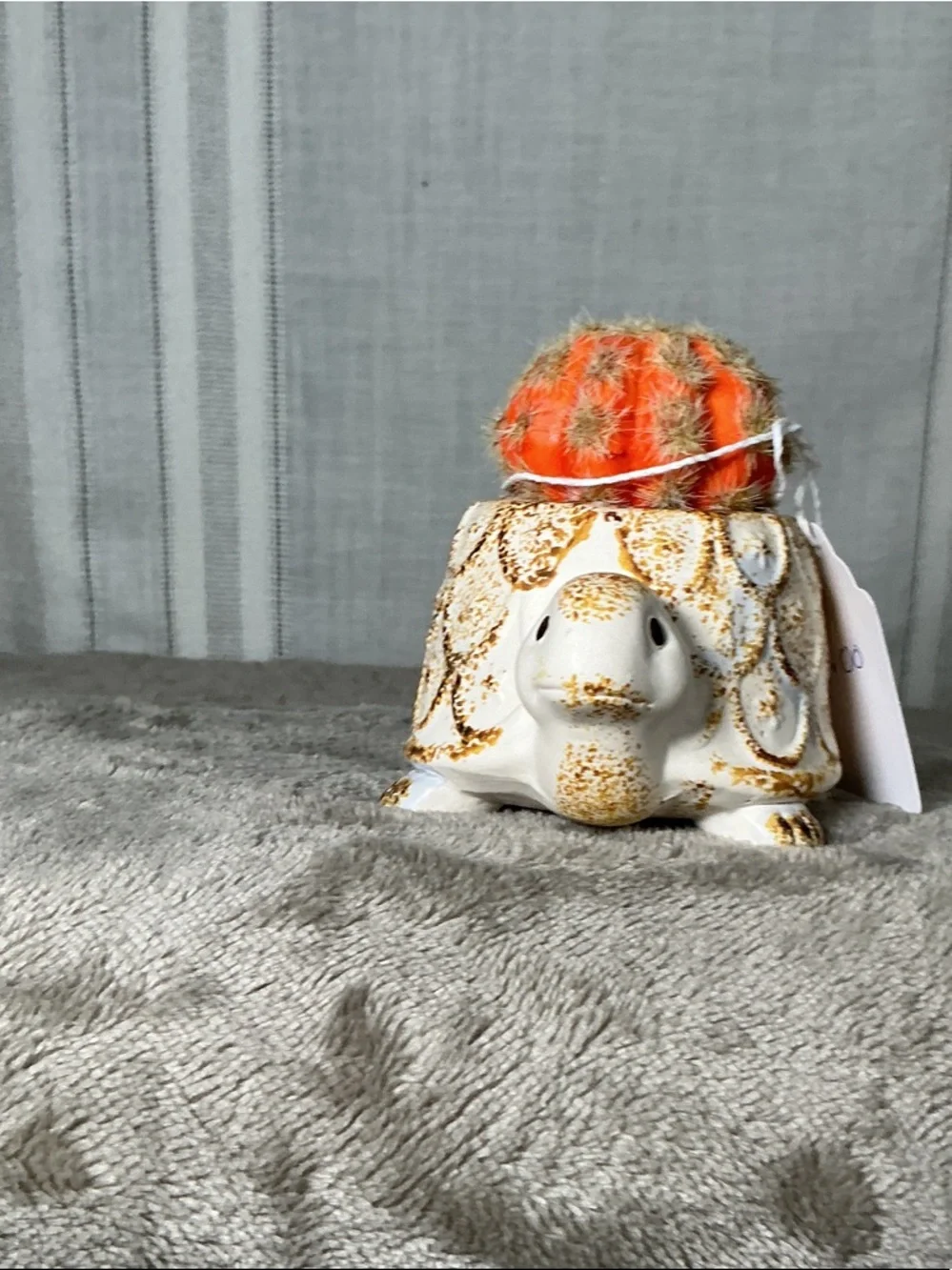 Cream Ceramic Turtle Planter with Bright Orange Faux Cactus